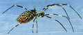 Joro Spider — Original Bugg Creation